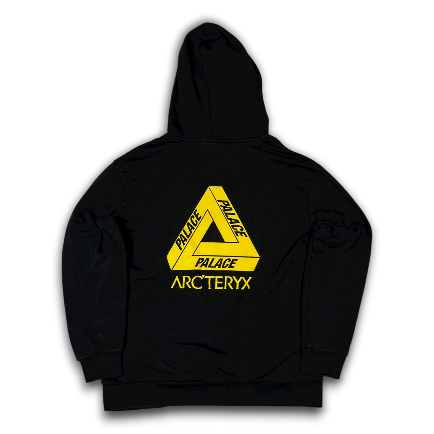 Arc‘teryx X Palace Hoodie (L)