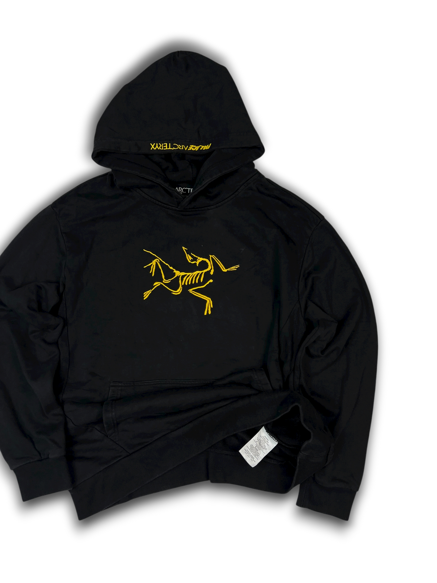 Arc‘teryx X Palace Hoodie (L)