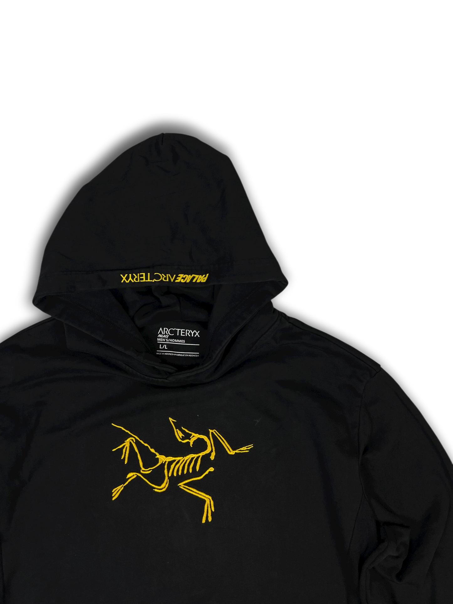 Arc‘teryx X Palace Hoodie (L)