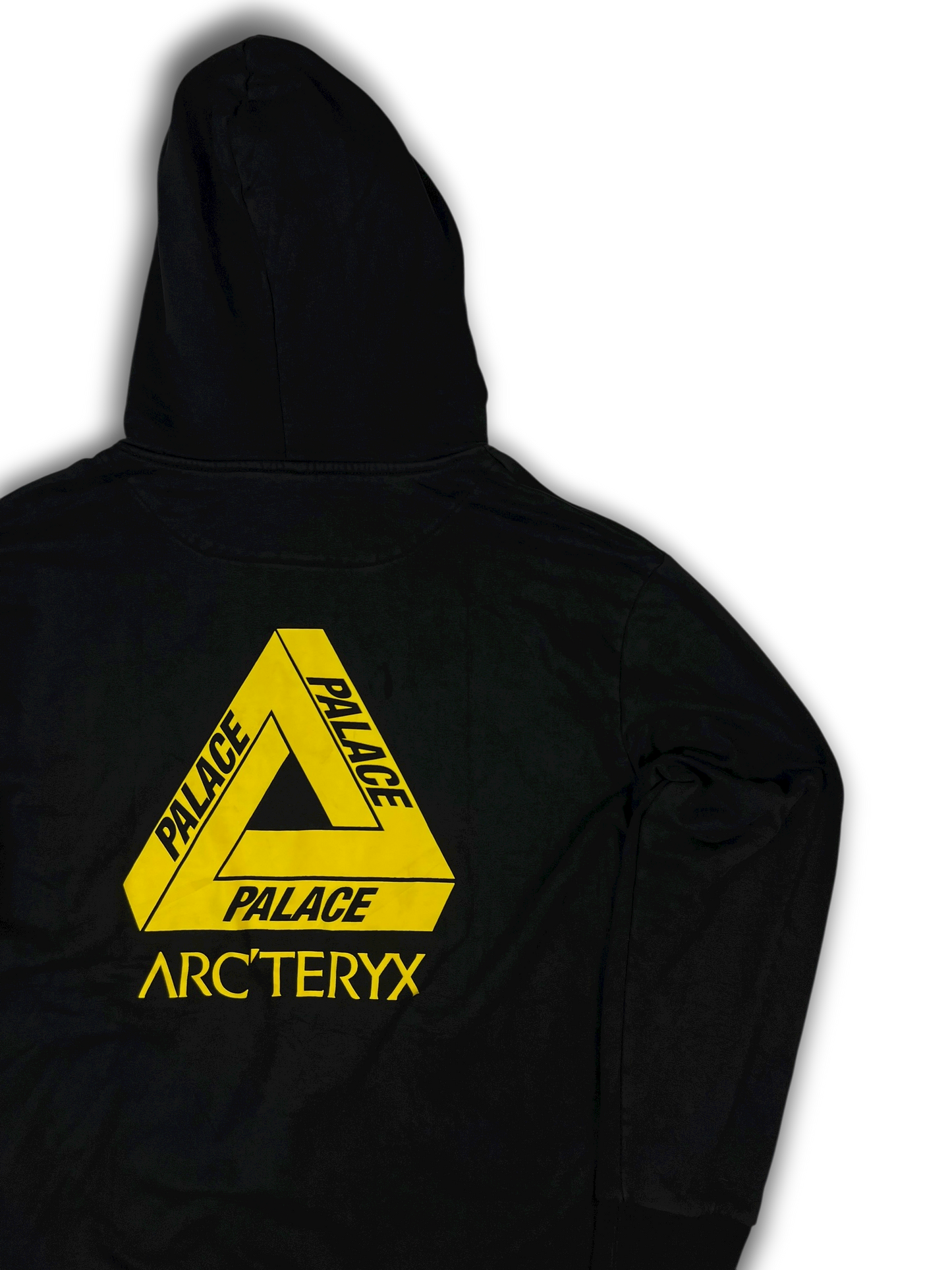 Arc‘teryx X Palace Hoodie (L)