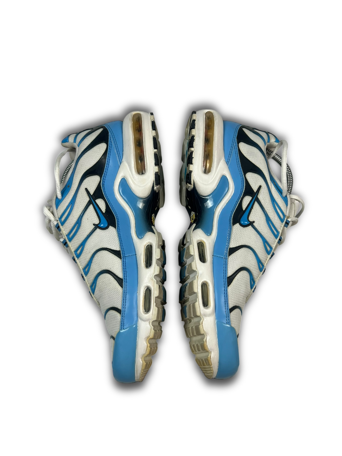 Nike Air Max Plus TN (45)