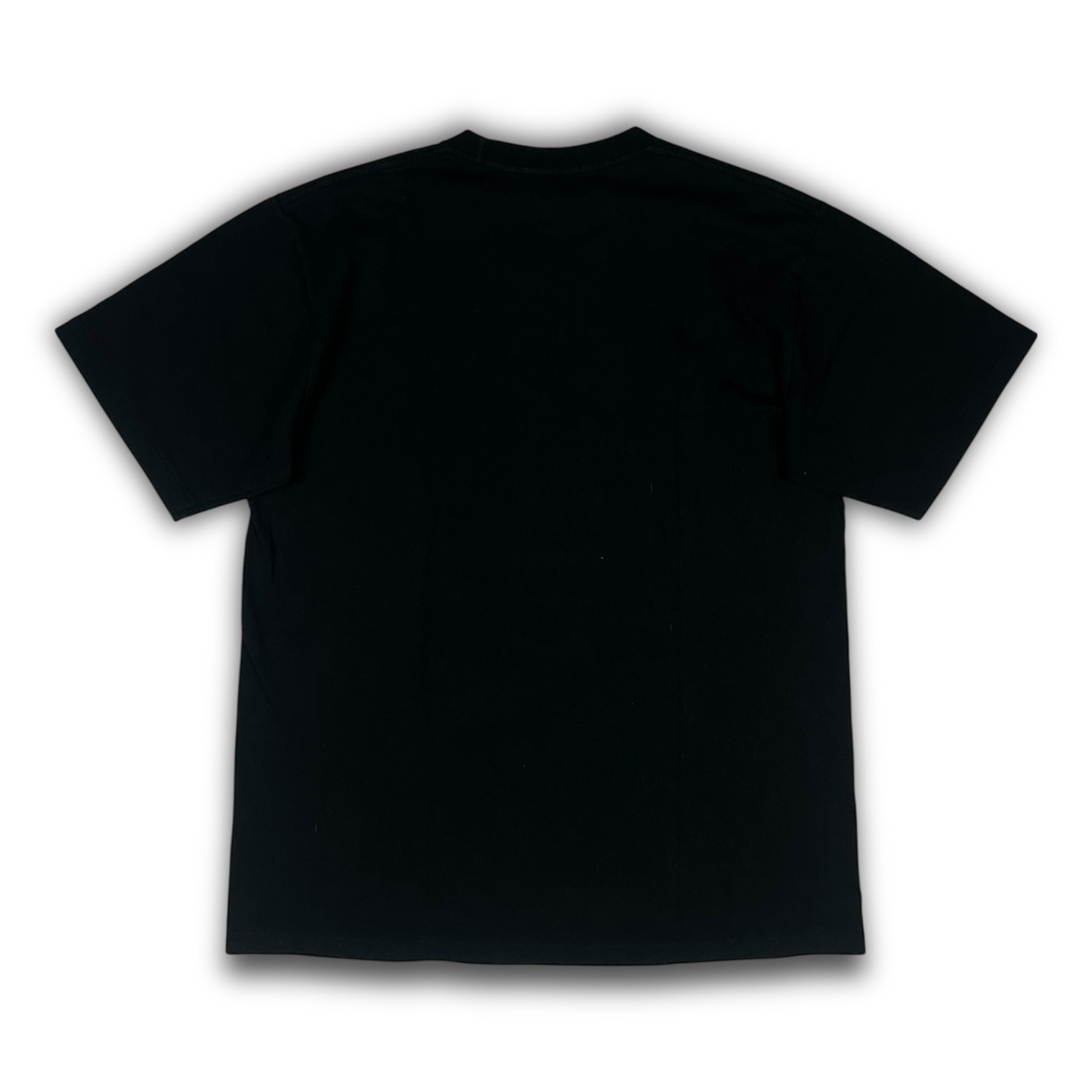 A Bathing Ape T-Shirt (L)