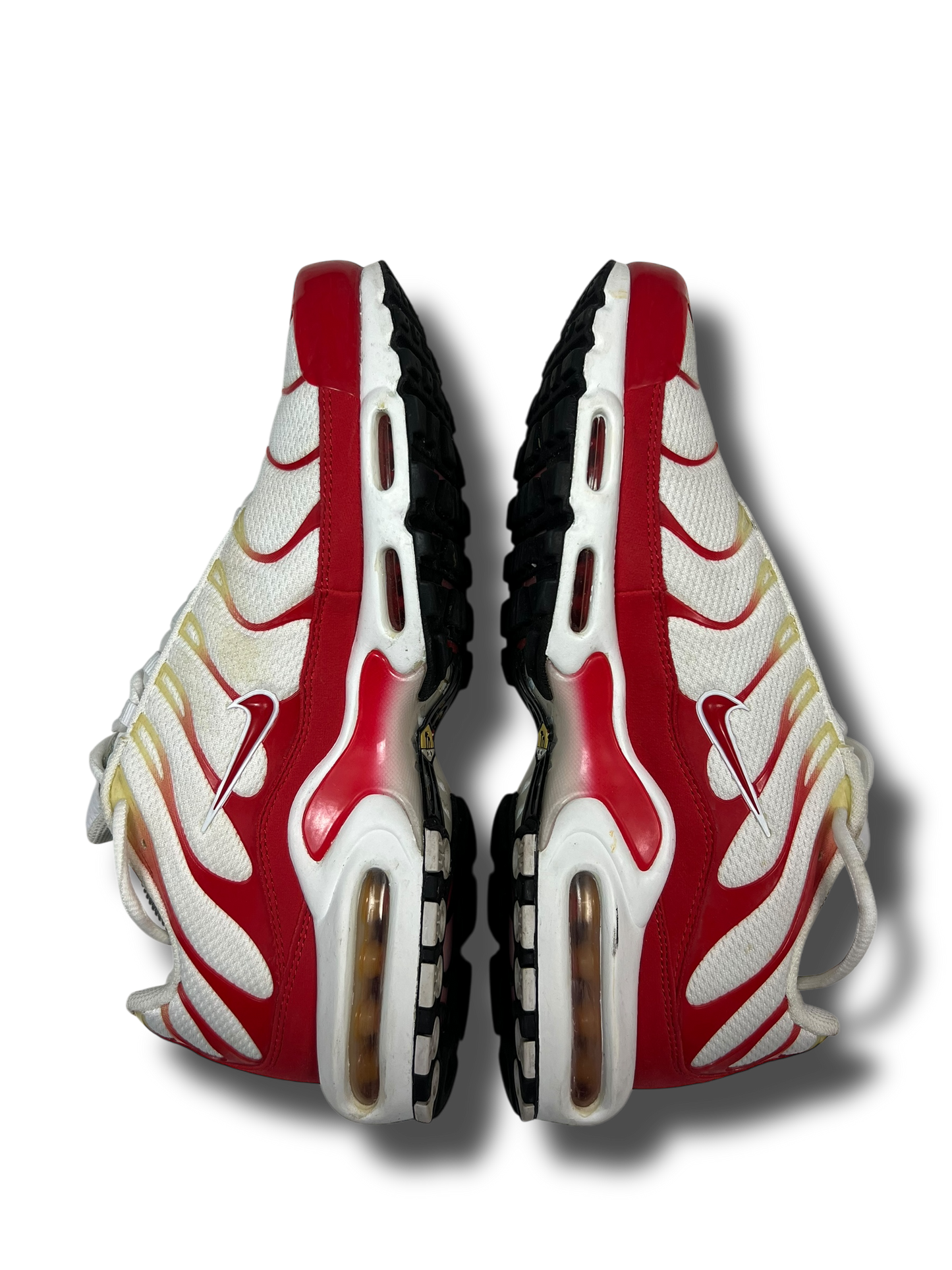 Nike Air Max Plus TN (45)