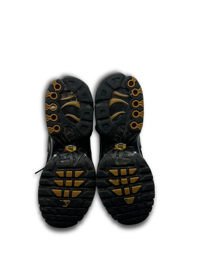 Nike Air Max Plus TN (44)
