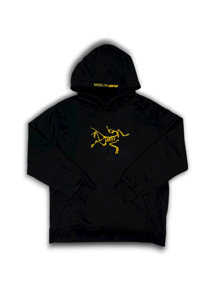 Arc‘teryx X Palace Hoodie (L)