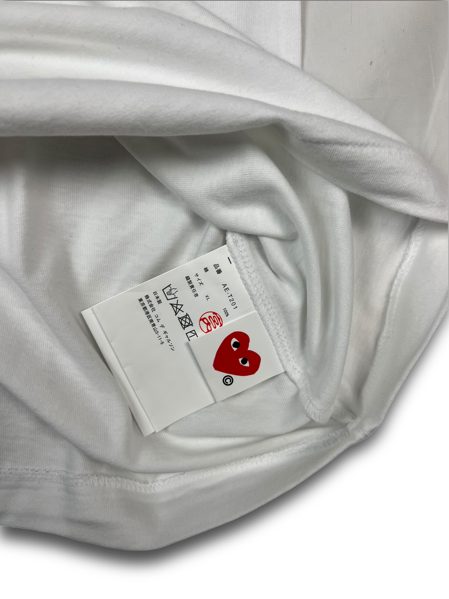 Comme des Garçons x The North Face T-Shirt (M)