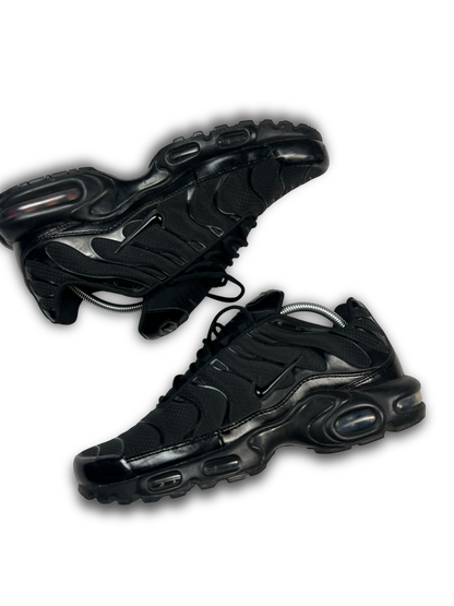 Nike Air Max Plus TN (44.5)