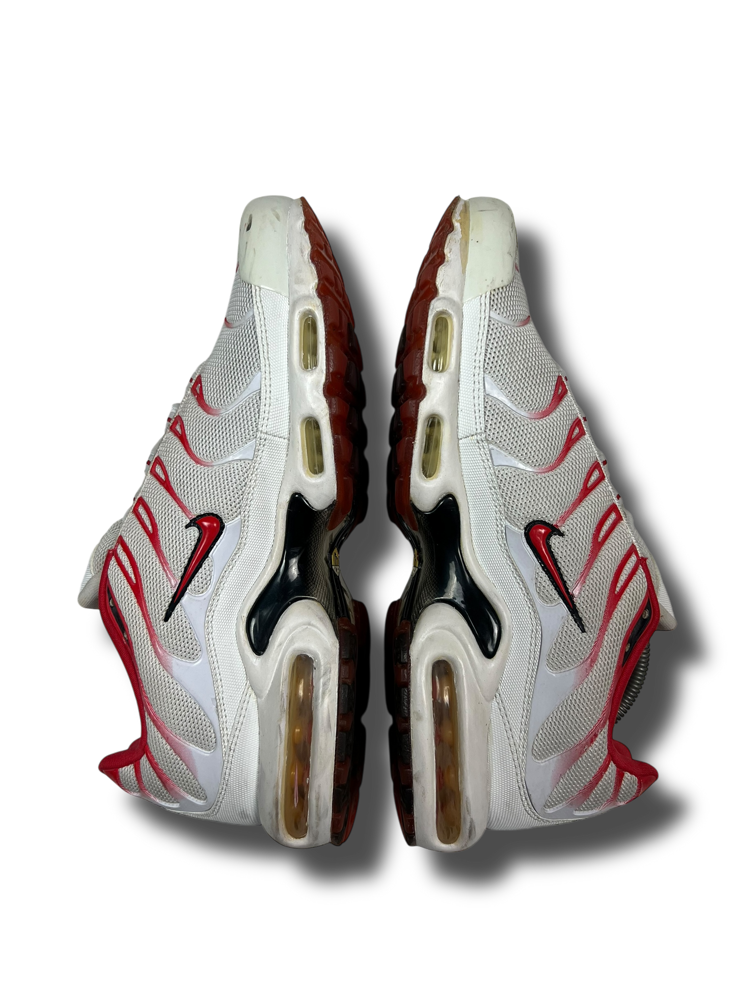 Nike Air Max Plus TN (45)