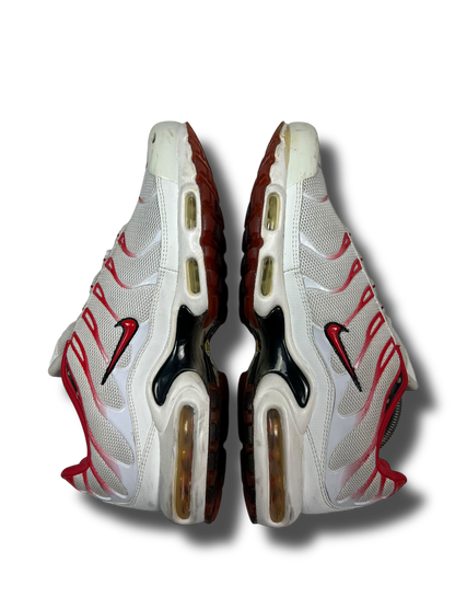 Nike Air Max Plus TN (45)