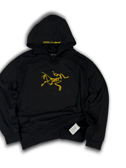 Arc‘teryx X Palace Hoodie (L)