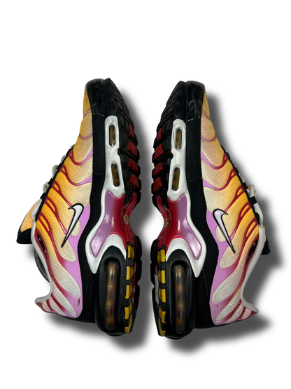 Nike Air Max Plus TN (44.5)