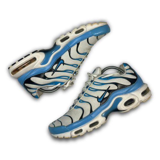 Nike Air Max Plus TN (45)