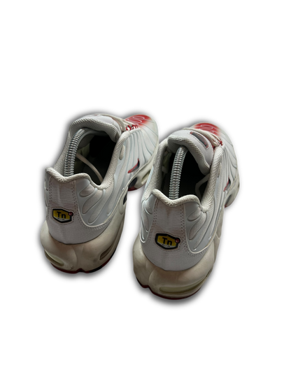 Nike Air Max Plus TN (43)