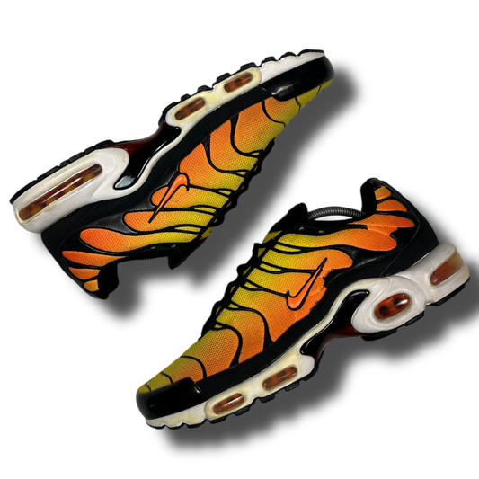 Nike Air Max Plus TN (45.5)