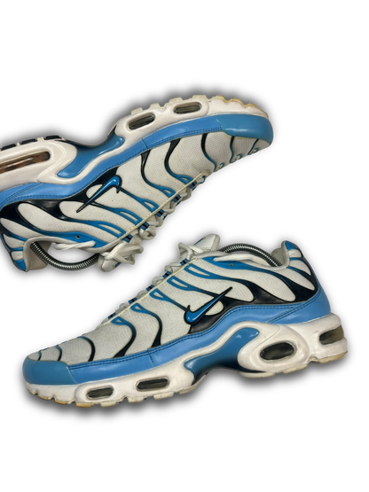 Nike Air Max Plus TN (45)
