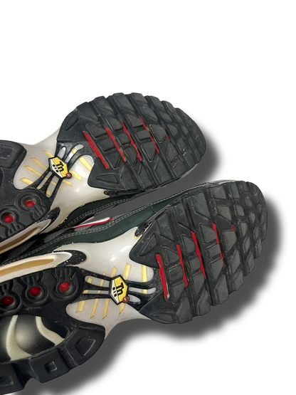 Nike Air Max Plus TN (44.5)