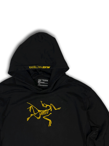 Arc‘teryx X Palace Hoodie (L)
