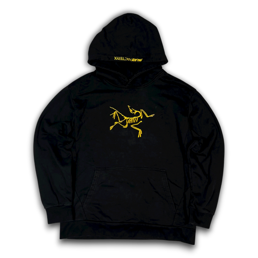Arc‘teryx X Palace Hoodie (L)