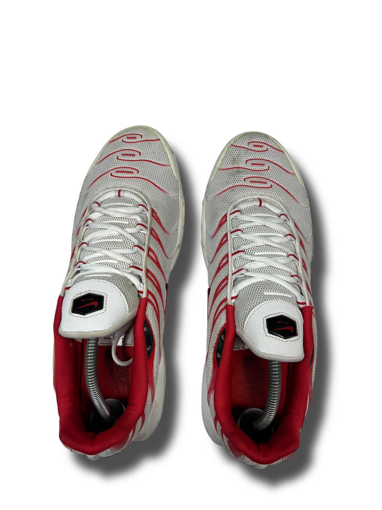 Nike Air Max Plus TN (45)