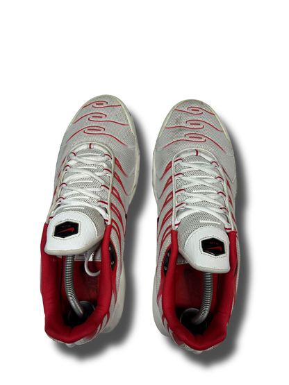 Nike Air Max Plus TN (45)