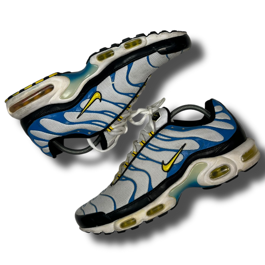Nike Air Max Plus TN (45)