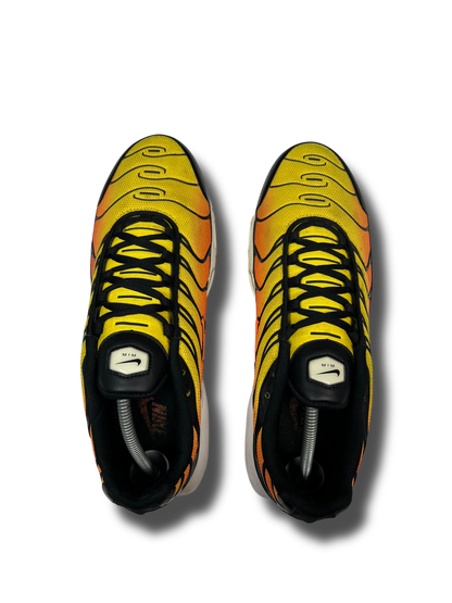 Nike Air Max Plus TN (45.5)