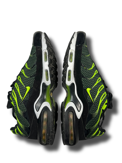 Nike Air Max Plus TN (44.5)