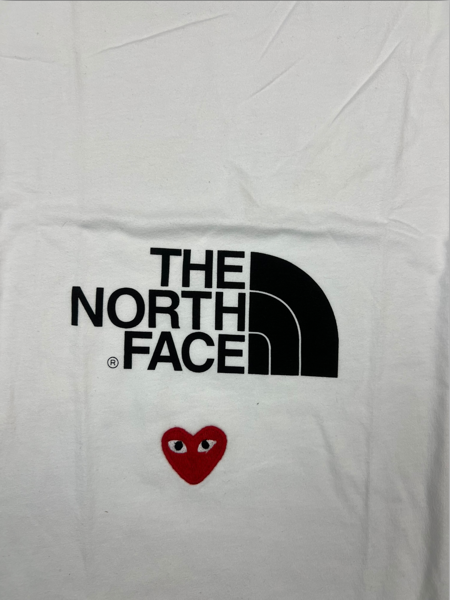 Comme des Garçons x The North Face T-Shirt (M)