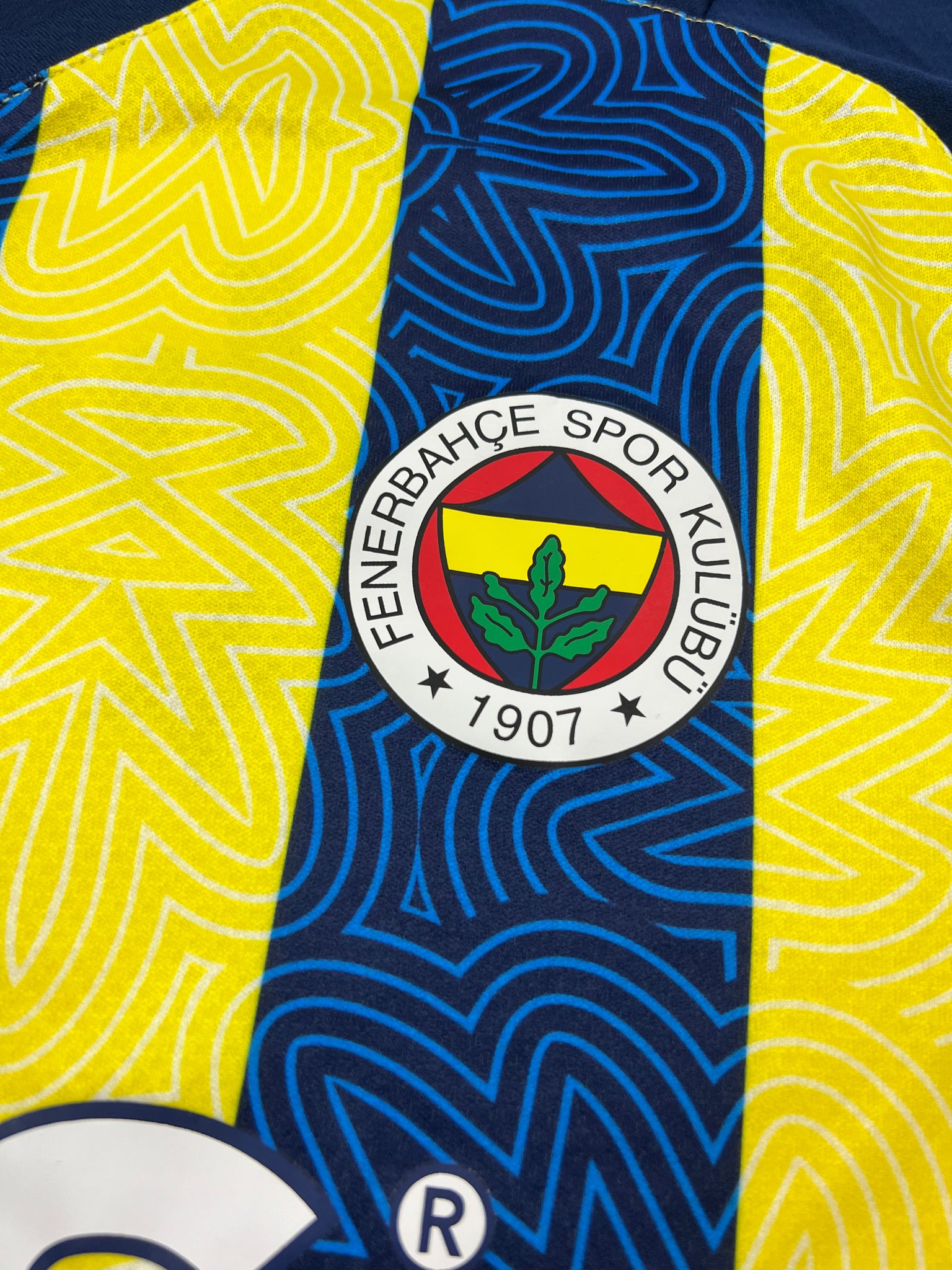 Puma Fenerbahce Jersey (M)