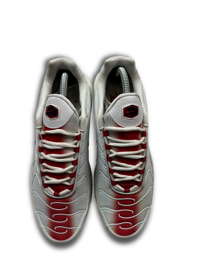 Nike Air Max Plus TN (43)