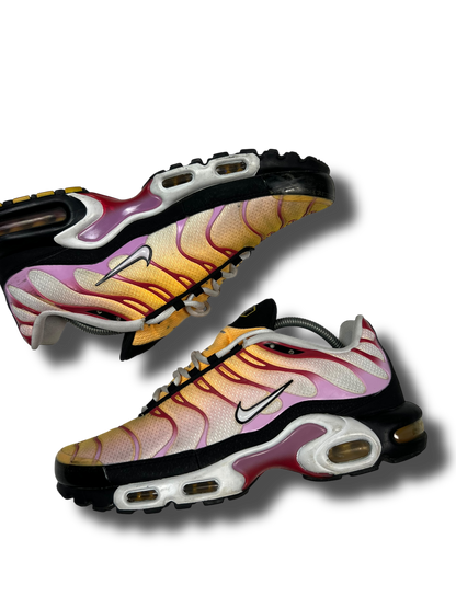 Nike Air Max Plus TN (44.5)