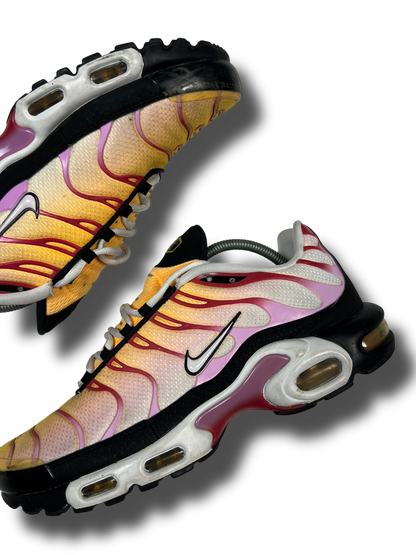 Nike Air Max Plus TN (44.5)