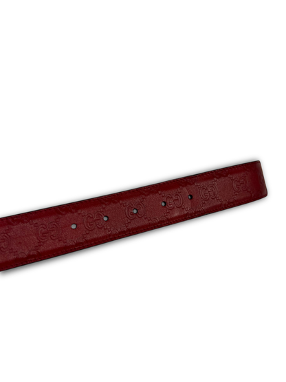 Gucci Belt (105cm)