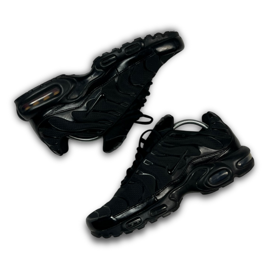 Nike Air Max Plus TN (44.5)