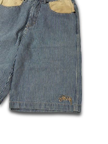 Stüssy Shorts (30)