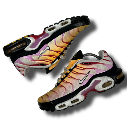 Nike Air Max Plus TN (44.5)