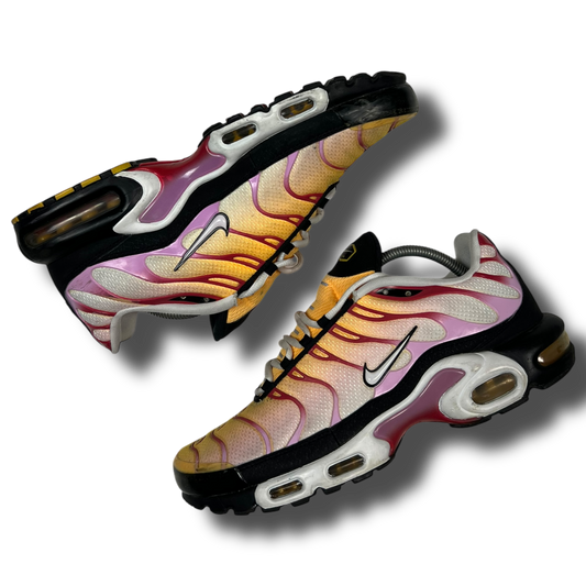 Nike Air Max Plus TN (44.5)
