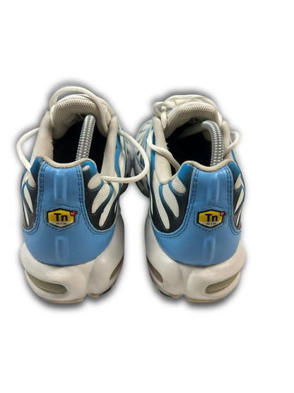 Nike Air Max Plus TN (45)