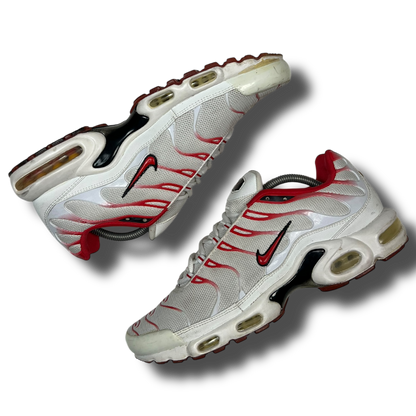 Nike Air Max Plus TN (45)