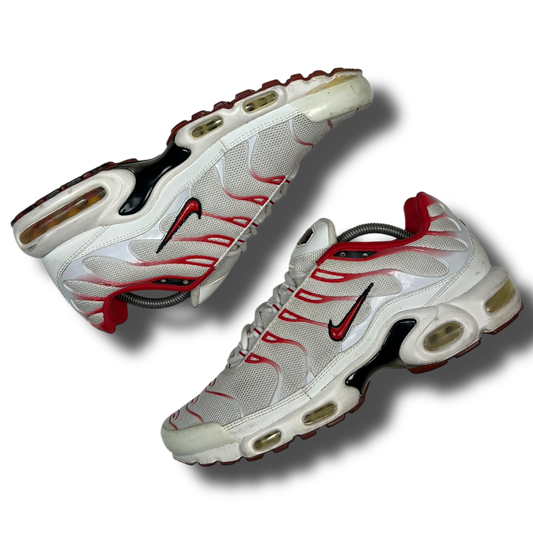 Nike Air Max Plus TN (45)