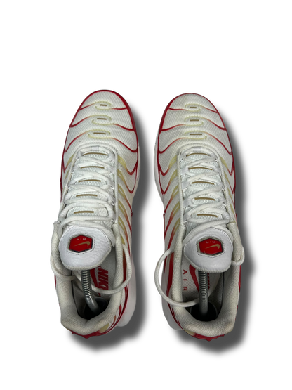 Nike Air Max Plus TN (45)