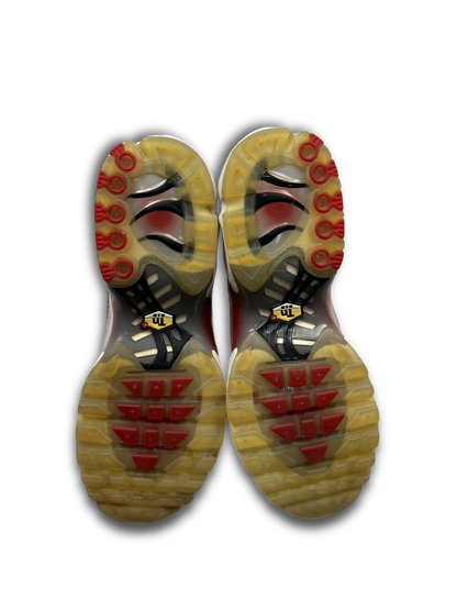 Nike Air Max Plus TN (44.5)