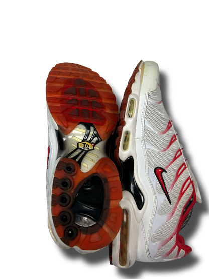 Nike Air Max Plus TN (45)
