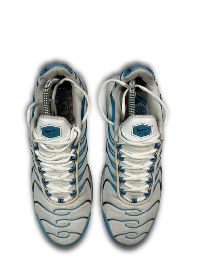 Nike Air Max Plus TN (45)