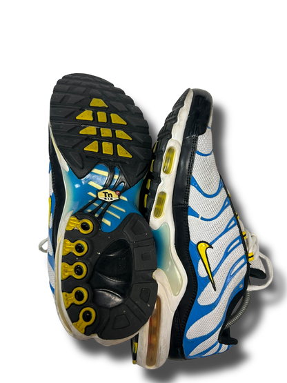 Nike Air Max Plus TN (45)