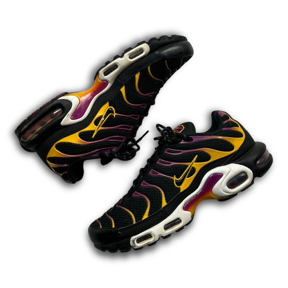 Nike Air Max Plus TN (44)