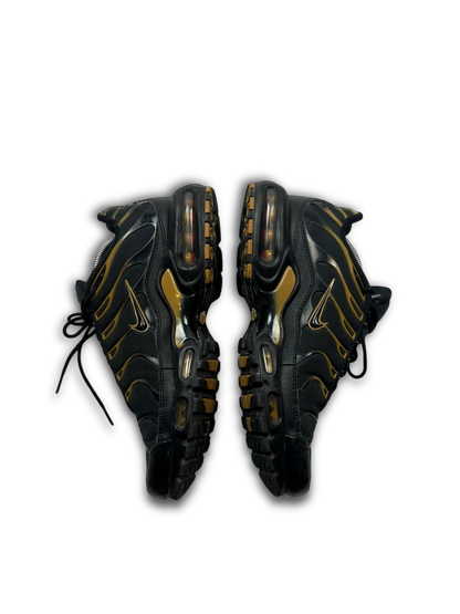 Nike Air Max Plus TN (44)