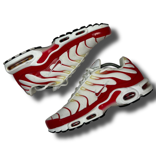 Nike Air Max Plus TN (45)