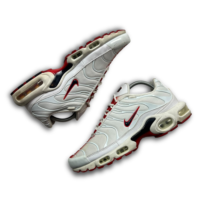 Nike Air Max Plus TN (43)