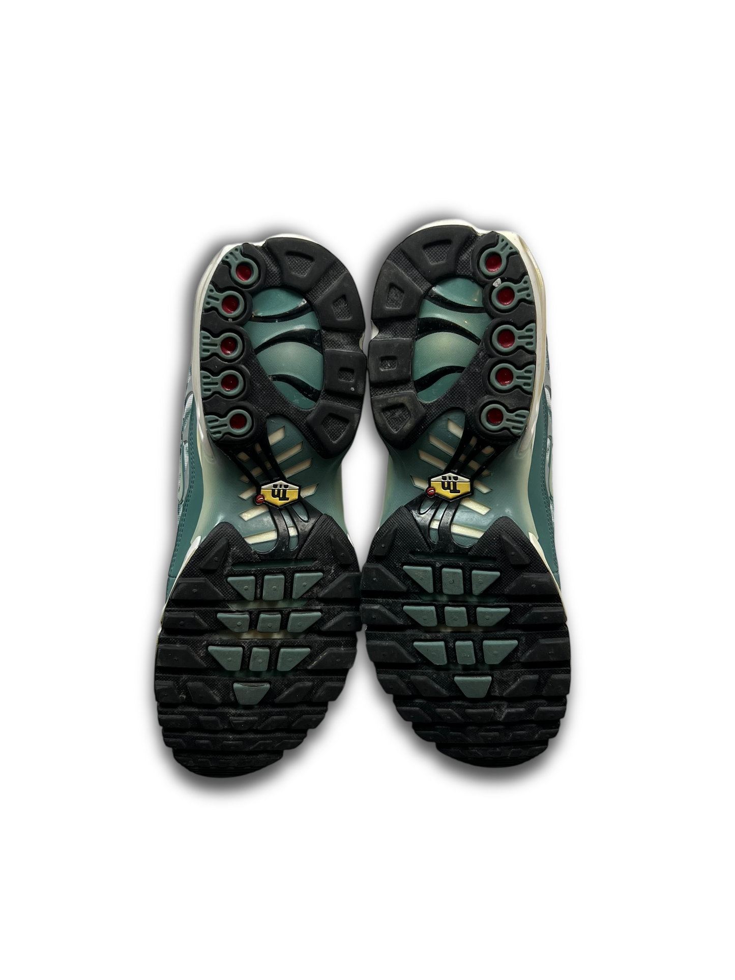 Nike Air Max Plus TN (45)